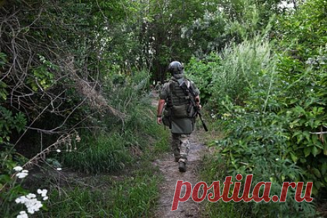 Военкор рассказал о достижениях ВС России в зоне СВО. Вооруженные силы (ВС) России зашли за высоты над Клещеевкой в районе Артемовска и берут важные позиции для контроля пути на Часов Яр. Об этом рассказал военный корреспондент Александр Сладков. По его словам, российские силы двигаются к Константиновке и Дзержинску, откуда снабжается украинский гарнизон в Авдеевке.