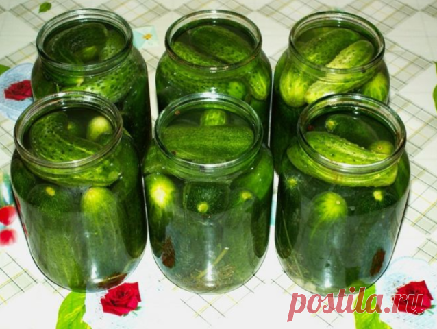 ОЧЕНЬ,ОЧЕНЬ ВКУСНЫЕ ОГУРЧИКИ))))) Всем советую.

на 1 литр воды:
4 ст.л. сахара (без горки!!)
1 ст.л. соли (с горкой!!)
100 г уксуса!!

способ приготовления: 
В каждую(литровую)банку:
1 лист хрена
1 зуб. чеснока
1 лист лавр. листа
1 зонт. укропа
2-3 шт. перца горошком

 
Заливать кипятком 2 раза - сливать в раковину....
На 3-й раз залить рассолом......закатать и под шубу....)))

ЧЕСТНО,ЧЕСТНО.....очень-очень вкусно....(это рецепт,моей прабабушки)))
Приятного аппетита!