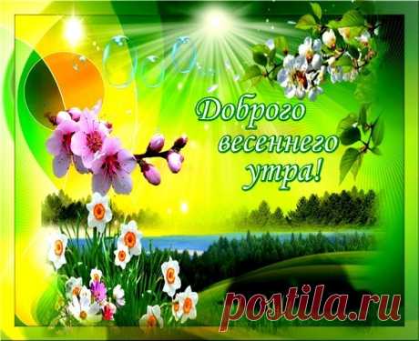 (18) Мой Мир@Mail.Ru