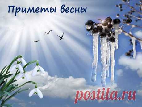 Народные приметы весны
Весна – прекрасная пора года. В это время природа просыпается после зимнего сна. Все вокруг оживает: тает снег, распускаются деревья, цветут сады, клумбы, с теплых краев возвращаются птицы, начинаются полевые работы, посадка растений. Жизнь начинает бить ключом: вокруг слышно журчание ручьев, пение птиц, гул тракторов. Недаром люди говорят: «Весна днем красна». В эту пору года на […]
Читай пост далее на сайте. Жми ⏫ссылку выше