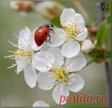 Мой Мир@Mail.Ru