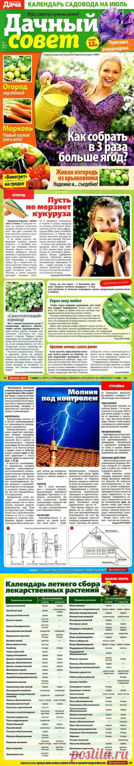 Дачный совет - 2013/7.