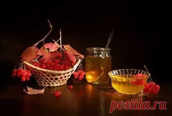 КАЛИНА С МЕДОМ