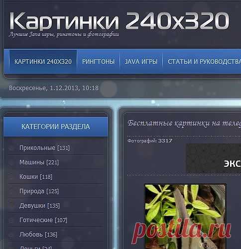 Скачать бесплатные картинки на телефон с разрешением экрана 240х320