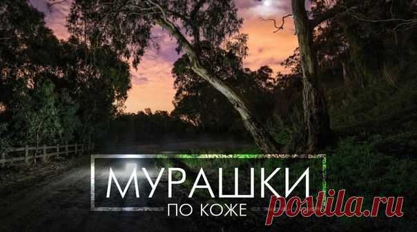 Музыка, от которой бегут мурашки по коже…