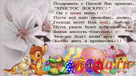 (5) Одноклассники