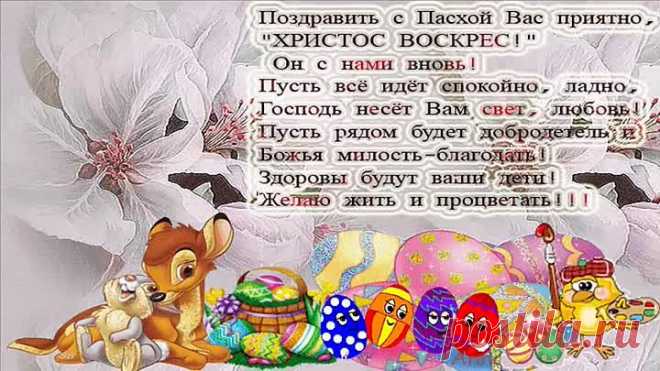 (5) Одноклассники