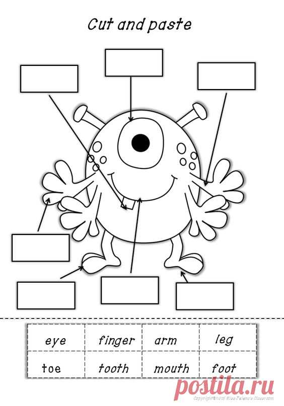 worksheets for kids body parts: 23 тыс изображений найдено в Яндекс.Картинках