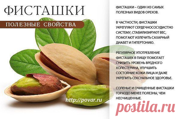 Академия здоровой жизни - Полезные орешки - фисташки