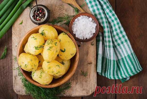 Вареный картофель — это отличный полноценный гарнир и необходимый ингредиент множества блюд. Делимся секретами правильной варки:

— Молодой картофель легко и быстро очистится, если его оставить на 15 минут в холодной подсоленной воде.

— Старый картофель может покрыться синими пятнами во время варки. Избежать этого поможет добавление в воду винного уксуса с сахаром или молока.

— Картофель сварится гораздо быстрее, чем обычно, если добавить в воду ложку сливочного масла ил...