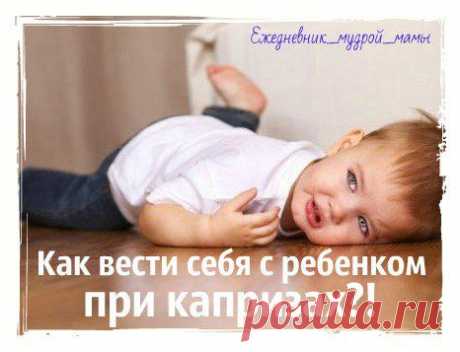 Ежедневник Мудрой Мамы