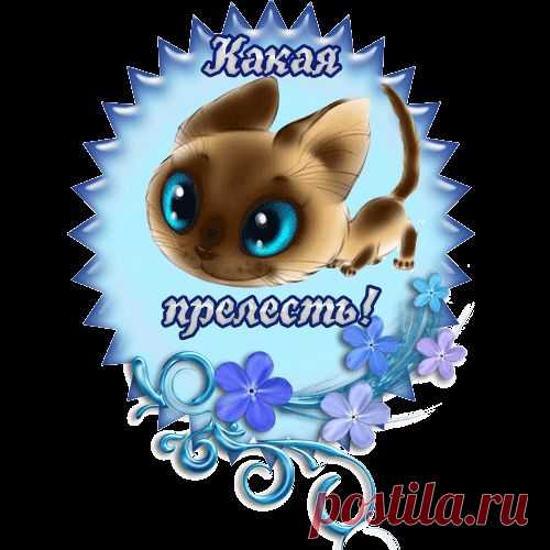 Диалоги