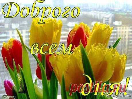 Новости