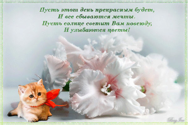 0_b5d80_acd33fea_XL.gif (750×500)