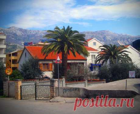(3) Olga Vasilevskaya
Herceg Novi