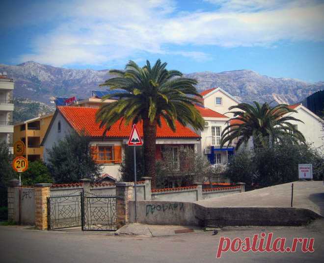 (3) Olga Vasilevskaya
Herceg Novi