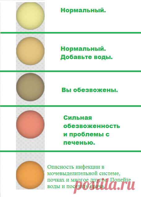 Какой должен быть здоровый цвет. Цвет мочи. Нормальный цвет мочи. Какого цвета должна быть моча. Цвет мочи норма.