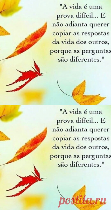 A vida é uma prova difícil...