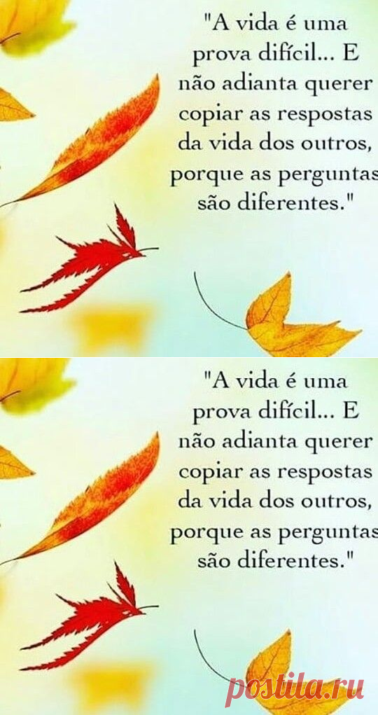 A vida é uma prova difícil...