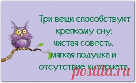 Три вещи способствуют сну: чистая совесть, мягкая подушка и отсутствие интернета.

b-1167.jpg (604×367)