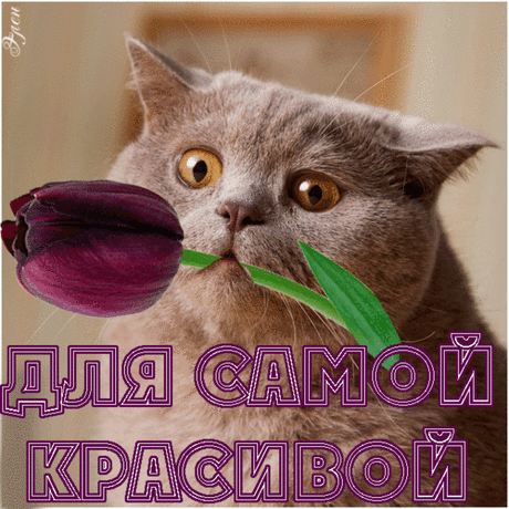 РЕСПЕКТ!!!!!!