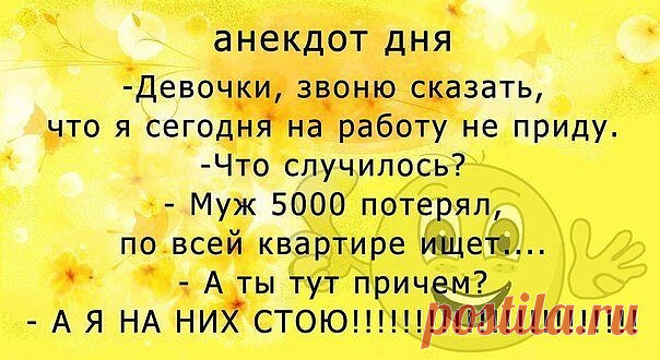 Анекдоты дня