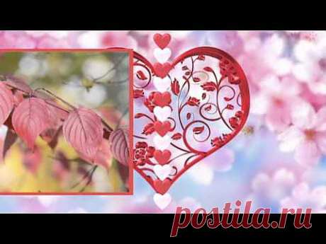 ▶ Стили к Proshow producer - YouTube