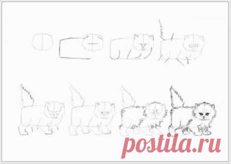 Как нарисовать котенка карандашом поэтапно