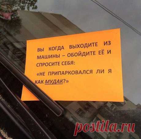 Когда сосед идиот - ЯПлакалъ