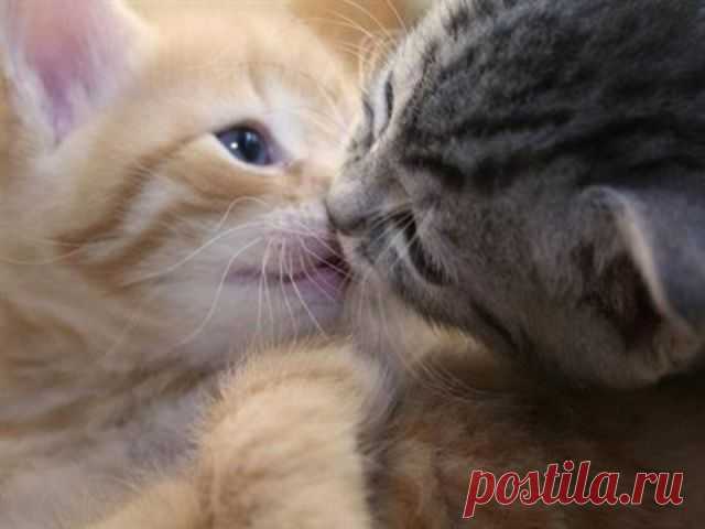 ❁⁀ ♥ ⁀✿ ✫ℒℴνℯ✫ ❁⁀ ♥ ⁀✿