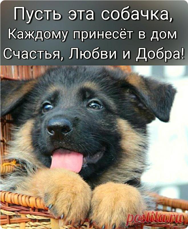 подарок надпись. скоро в каждом доме. нужный подарок. скоро в каждом доме. пусть только радость заглянет в дом.