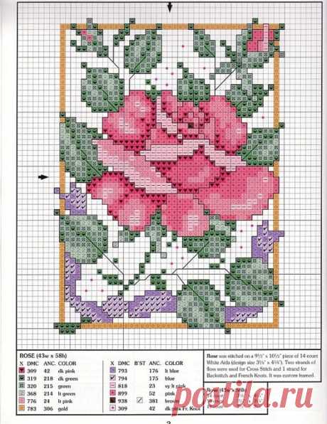 View image: 0172d30c326b4645a8951a65f4545734