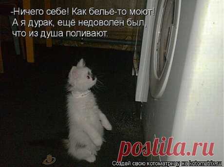 ... мир познаЁтся в сравнении! ;-)