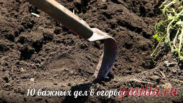 Лучшие рецепты осенних заготовок - чтобы зимой было вкусно! - МирТесен