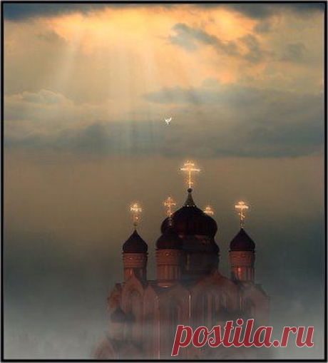 (50) Одноклассники