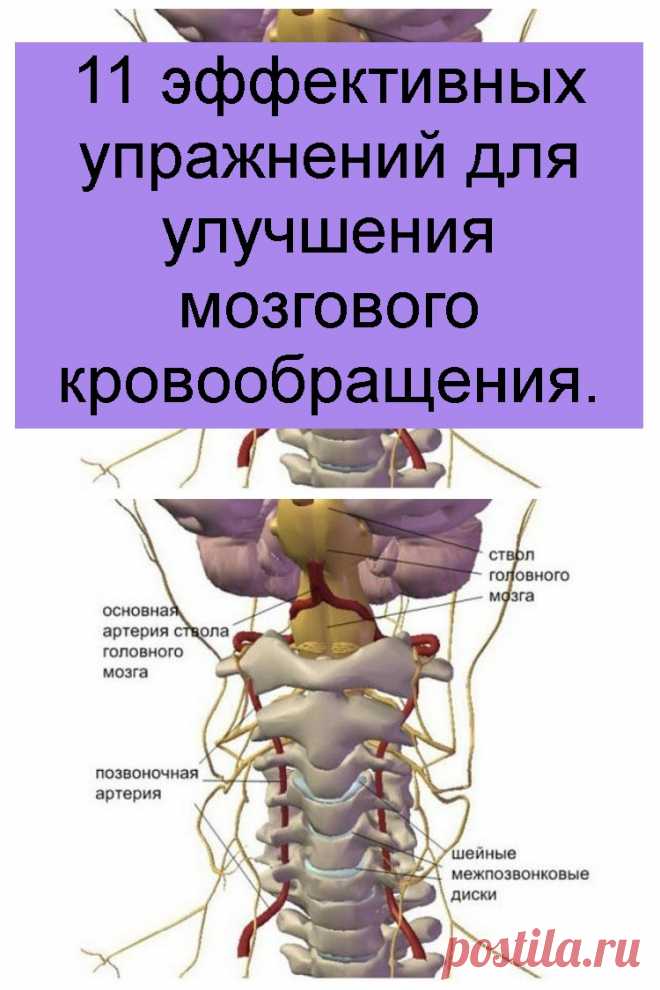 11 эффективных упражнений для улучшения мозгового кровообращения ...