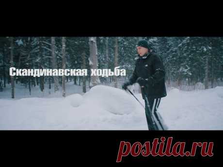Код здоровья.Скандинавская ходьба