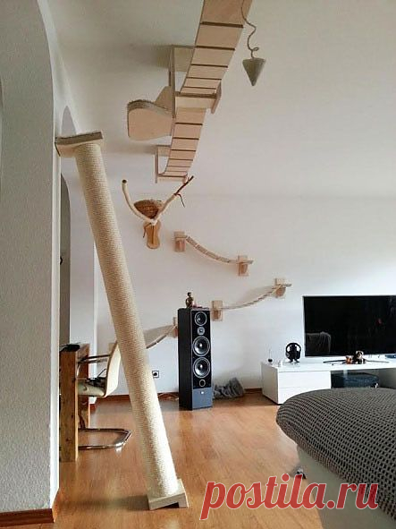 Дизайнеры создали мебель для кошек