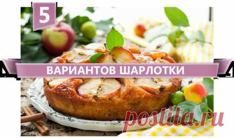 Шарлотка : топ-5 вариантов приготовления | Четыре вкуса
