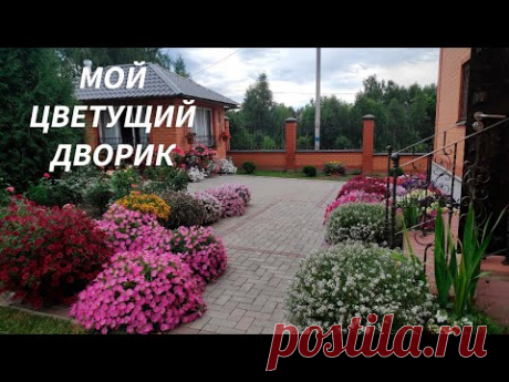 Мой цветущий дворик - июль 2021 | Раин сад
