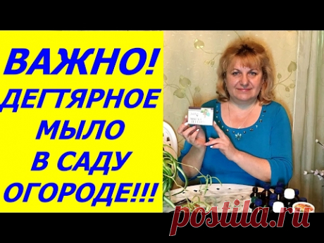 ДЕГТЯРНОЕ МЫЛО ДЛЯ ЗАЩИТЫ РАСТЕНИЙ !!!