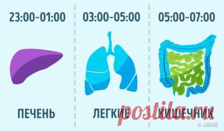 10 очень простых, но странных привычек, которые помогут прожить в 2 раза дольше