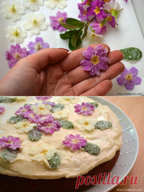 Съедобные цветы - кристаллизация первоцветов для тортов и десертов.  :)