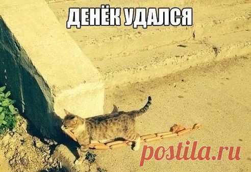 Одноклассники