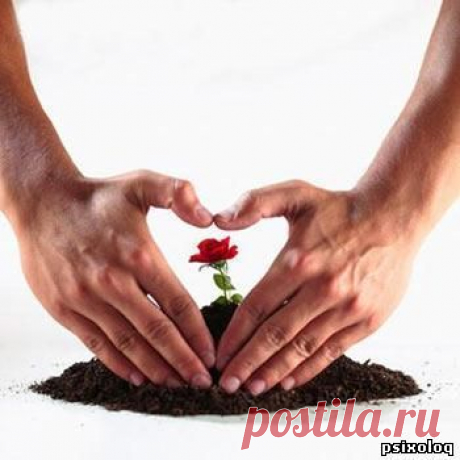 ВАГИФ ГУЛАМ РАГИМ О. - Баку, Азербайджан на Мой Мир@Mail.ru