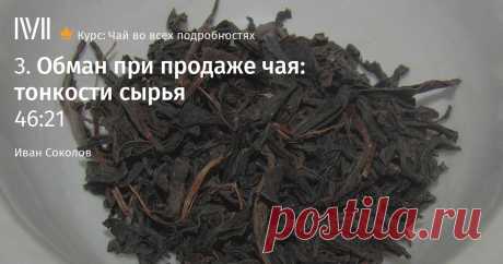 Всегда ли хорош «элитный чай» Знания и приемы, помогающие с выбором и определением качества чая.