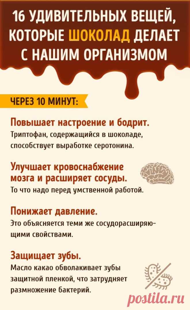 Что происходит с нашим организмом после дольки шоколада | Диеты со всего света
