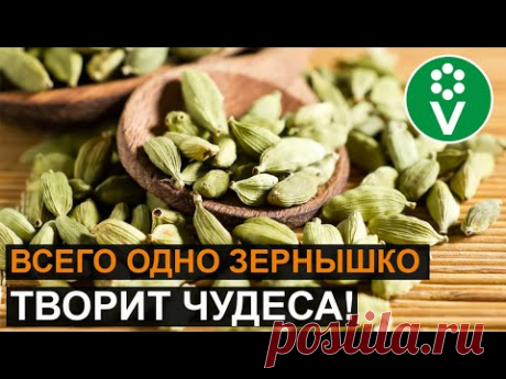 КАРДАМОН в каждый дом! Как кардамон поможет сохранить здоровье?