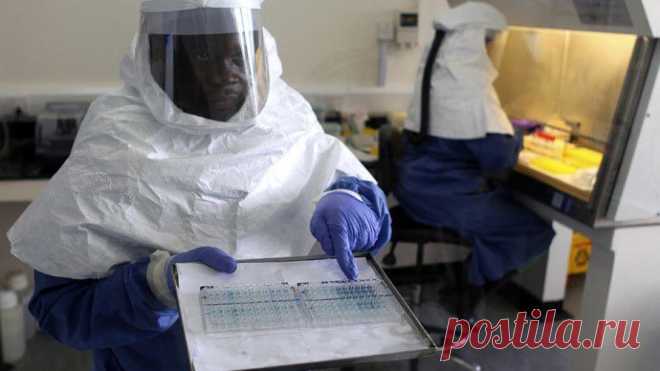 Эбо-ложь: Житель Ганы подтверждает искусственное происхождение эпидемии Эбола