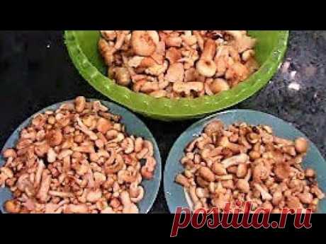 Супер вкусные Опята осенние маринованные на зиму.